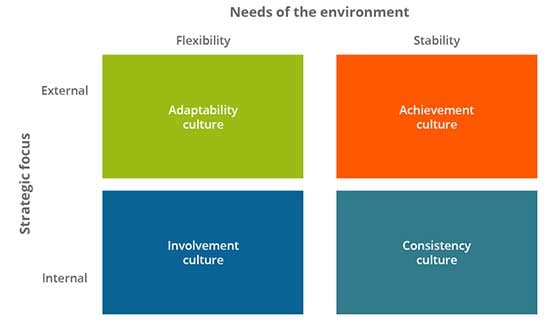 Impact of Culture on the Work Environment
