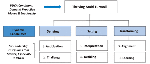 Leadership Disciplines in VUCA