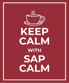 Application Lifecycle Management with SAP Cloud ALM – FAIR