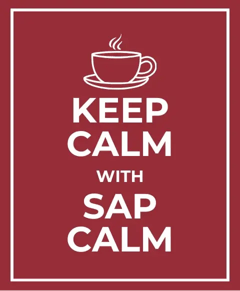 Application Lifecycle Management with SAP Cloud ALM – FAIR