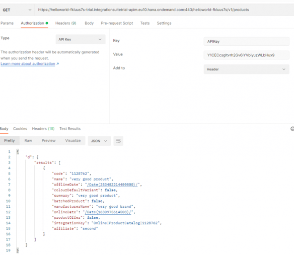 run a test with the mock server 2