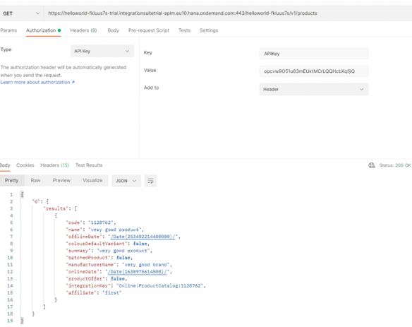 run a test with the mock server