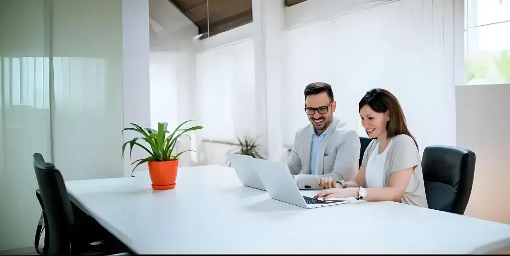 SAP License Management and Advisory Services by fair consulting group